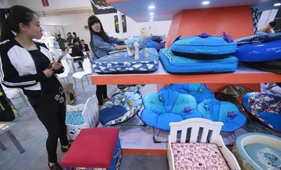寵物用品與健身器材 兩大朝陽產業的崛起與發展潛力